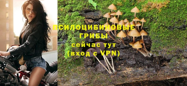 ешки Балахна